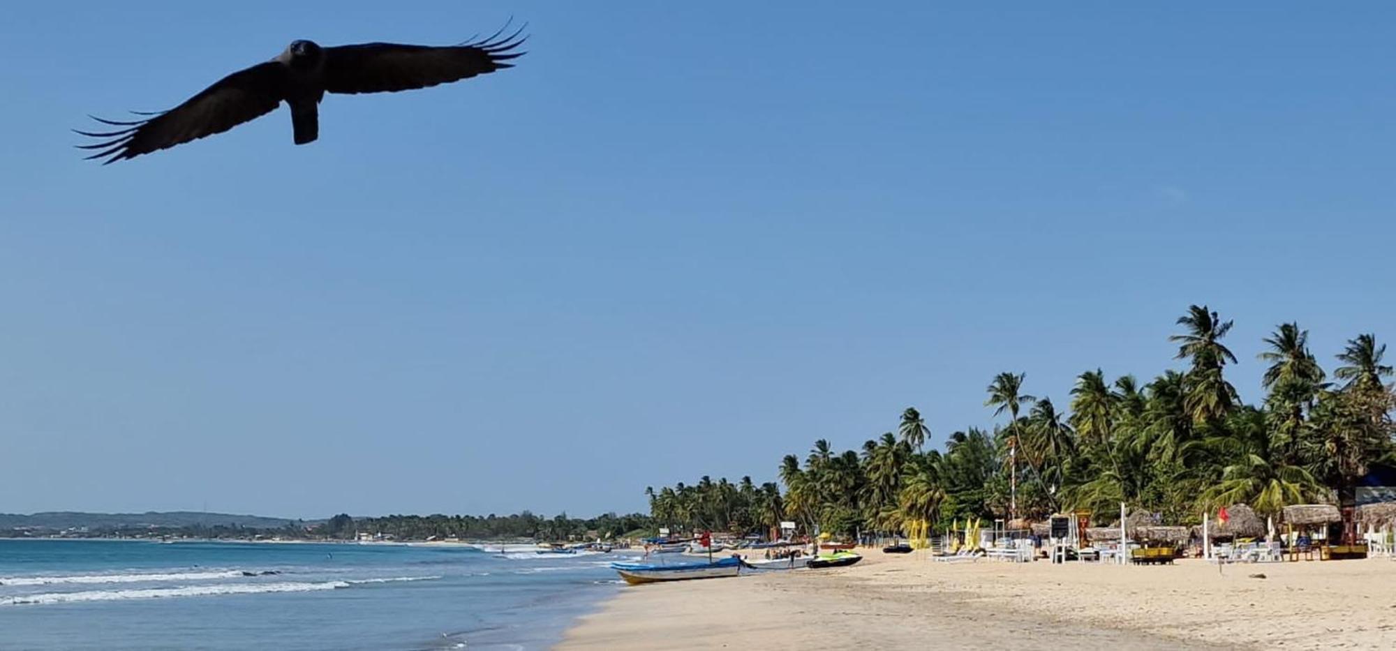 Lucky Beach Resort Trincomalee Exteriér fotografie